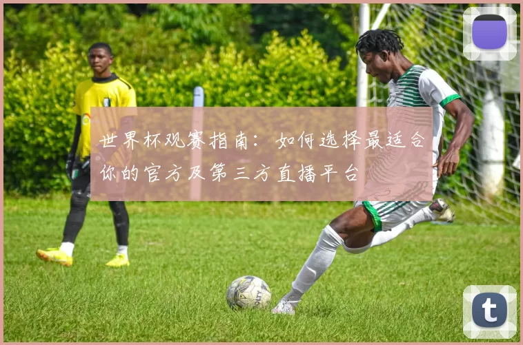 世界杯观赛指南：如何选择最适合你的官方及第三方直播平台