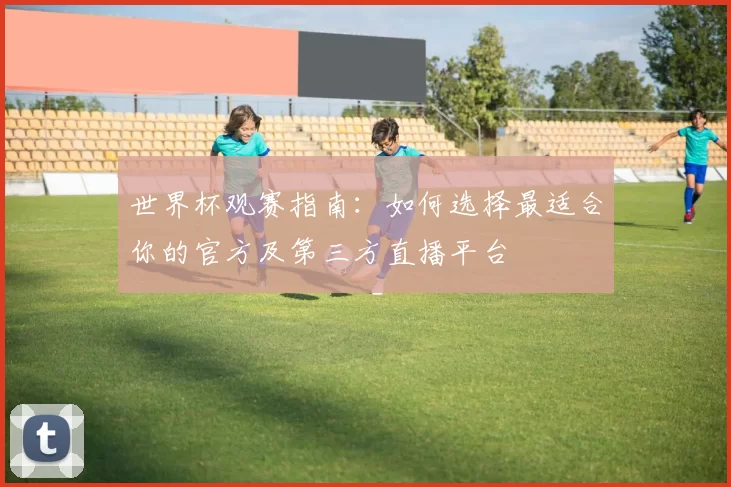 世界杯观赛指南：如何选择最适合你的官方及第三方直播平台