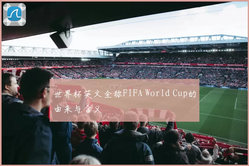 世界杯英文全称FIFA World Cup的由来与含义