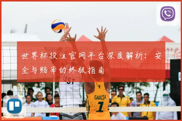 世界杯投注官网平台深度解析：安全与赔率的终极指南