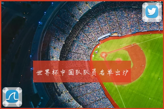 世界杯中国队队员名单出炉