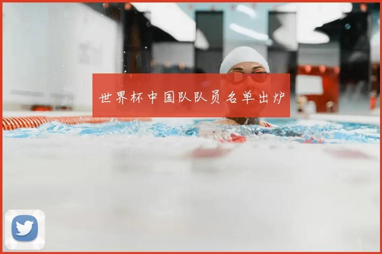 世界杯中国队队员名单出炉