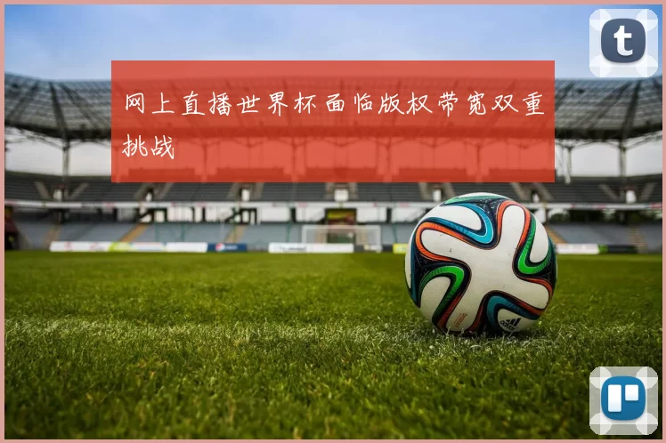 网上直播世界杯面临版权带宽双重挑战