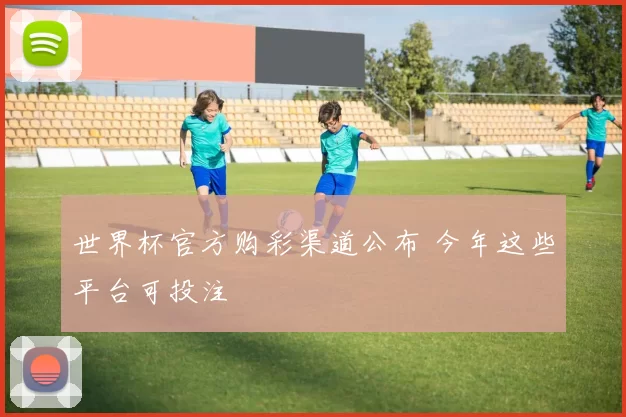 世界杯官方购彩渠道公布 今年这些平台可投注