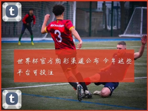 世界杯官方购彩渠道公布 今年这些平台可投注
