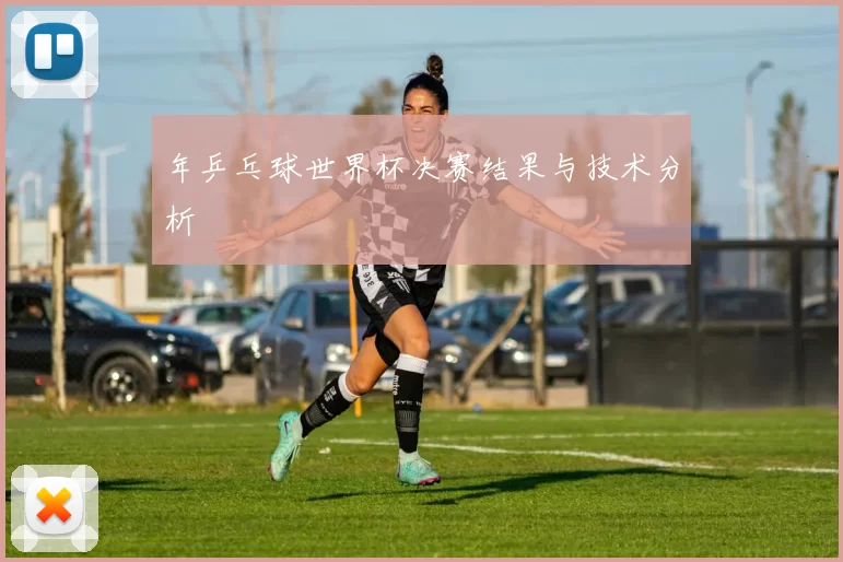 年乒乓球世界杯决赛结果与技术分析
