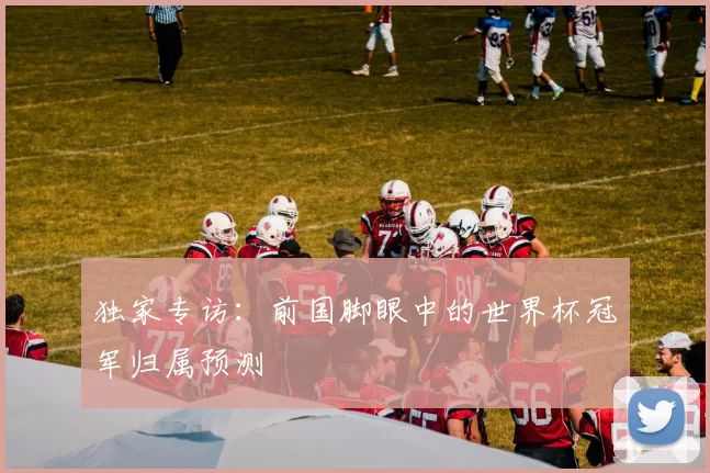 独家专访:前国脚眼中的世界杯冠军归属预测