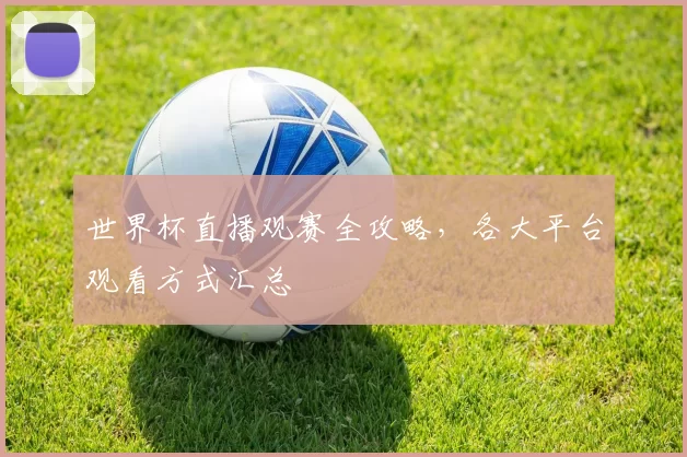 世界杯直播观赛全攻略,各大平台观看方式汇总