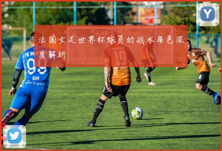 法国女足世界杯球员的战术角色深度解析