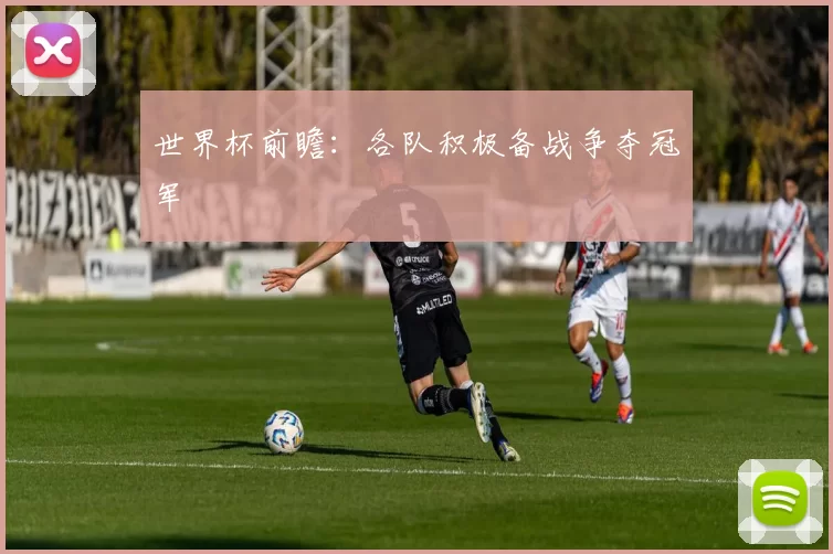 世界杯前瞻：各队积极备战争夺冠军