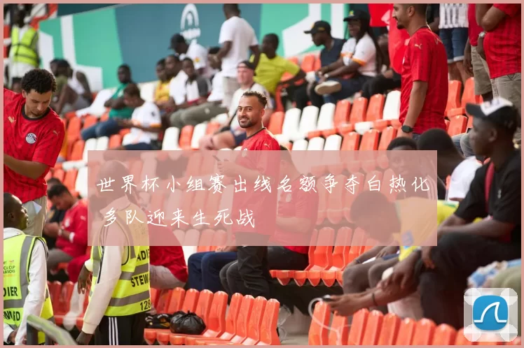 世界杯小组赛出线名额争夺白热化 多队迎来生死战