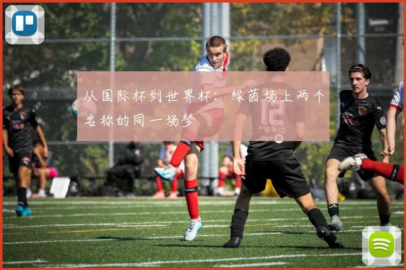 从国际杯到世界杯:绿茵场上两个名称的同一场梦