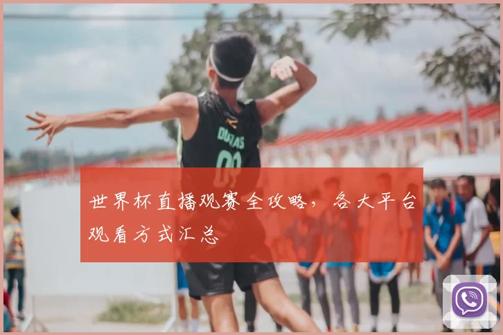 世界杯直播观赛全攻略,各大平台观看方式汇总