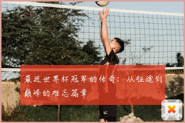 最近世界杯冠军的传奇:从征途到巅峰的难忘篇章
