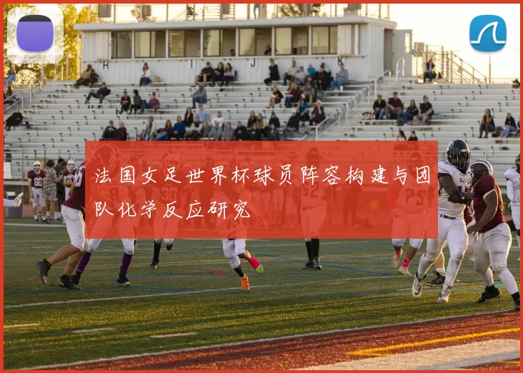 法国女足世界杯球员阵容构建与团队化学反应研究